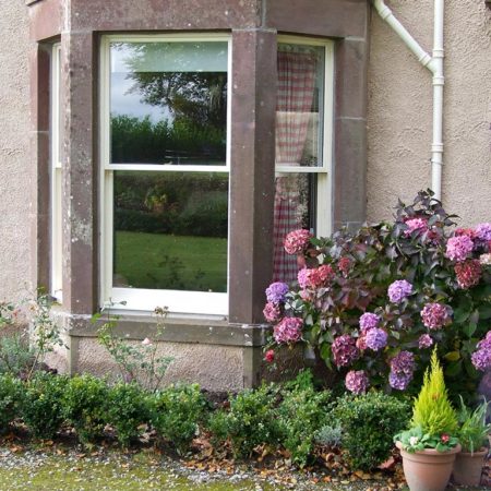 Exterior of bay window with white wood surround and large glass panels with plants and flowers to the side of the window